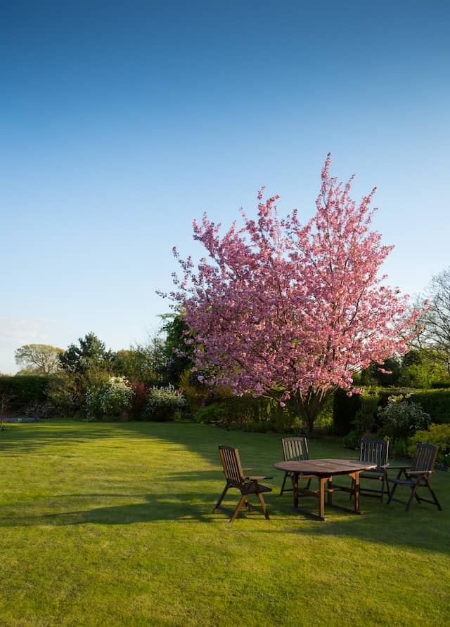 haus garten service dormagen